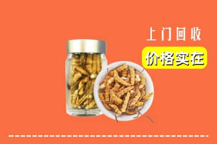 收购资讯:南平武夷山市回收散虫草