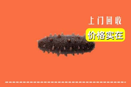 收购资讯:南平武夷山市回收海参