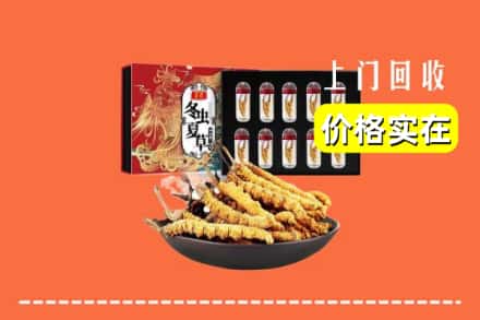南平武夷山市回收虫草